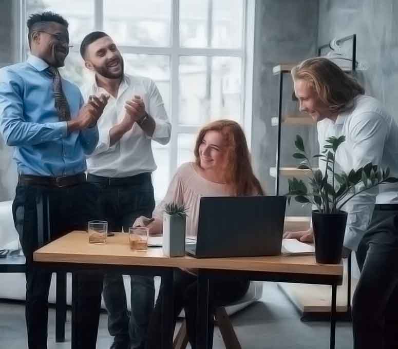 ddos在线网页端软件 - 软件开发与安全服务